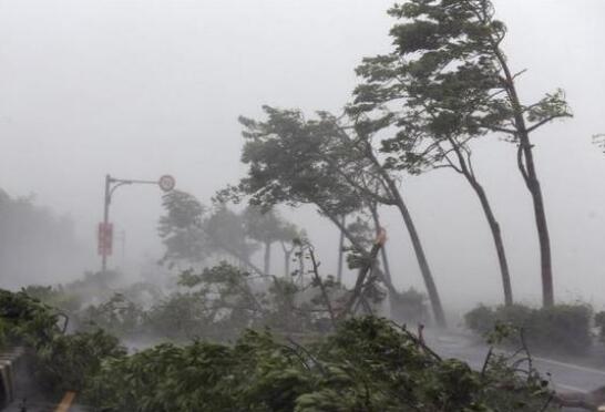 7号台风“查帕卡”升至13级 广东阳江台风红色预警持续生效