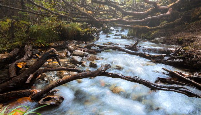 九寨沟海拔最高多少米 九寨沟最高海拔多高