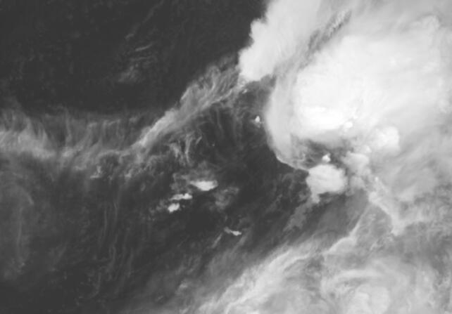 8号台风最新消息2021卫星云图实况 尼伯特台风路径实时发布系统云图汇总