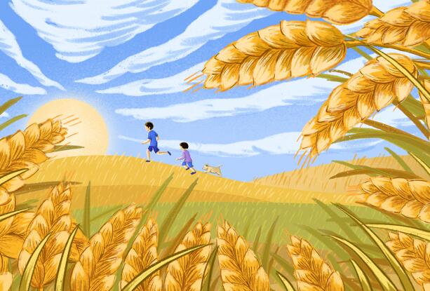 2021立秋几点 今年立秋准确时间点