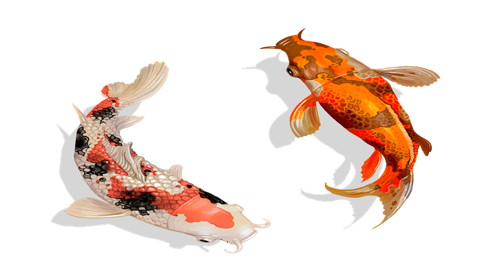 地震鱼为什么叫做地震鱼 地震鱼名字的由来