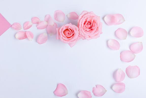 2021七夕节送女友什么花 8种花束适合送给她