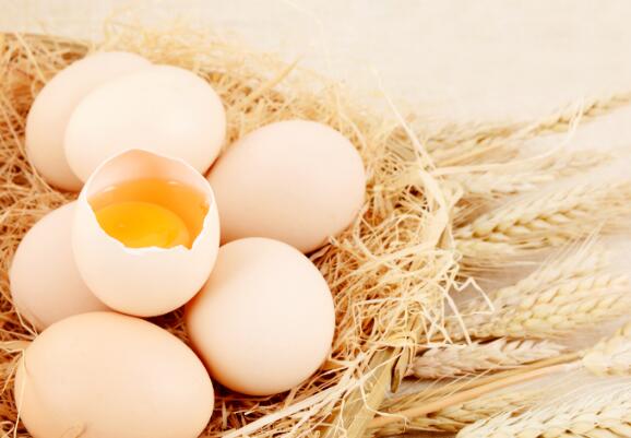 鸡蛋价格一个月涨近20%  突破每斤“5元”大关