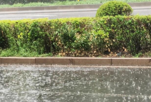 湖南未来3天长沙张家界等有强降雨 局部降雨量可达大暴雨级别