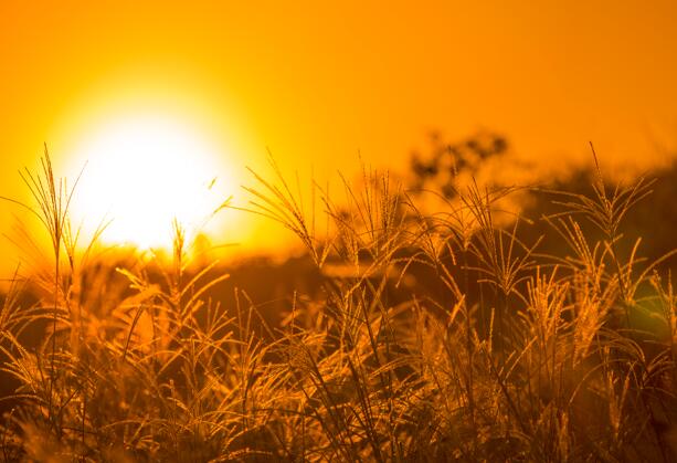 2021末伏天还热吗 末伏天气还热不热了