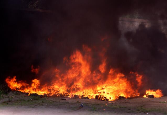 阿尔及利亚发生多起森林火灾 已造成42人死亡