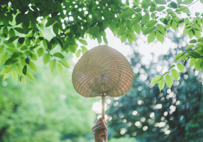 超过多少度为高温天气 温度在多少度以上算高温