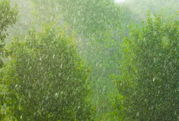 8月12日国外天气预报：亚洲欧洲美洲等部分地区强降雨