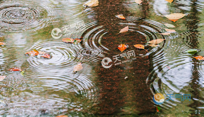 暴雨排行_暴雨大暴雨特大暴雨划分暴雨等级如何划分