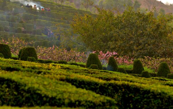 2021中元节上坟是当日还是提前 中元节上坟可以提前吗