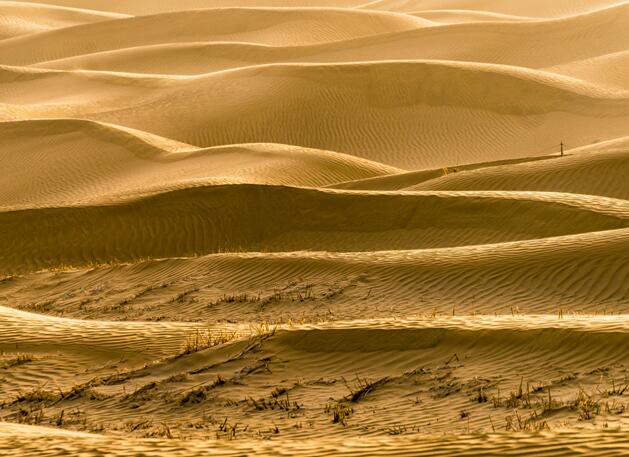 我国最大的沙漠 中国最大沙漠叫什么名字