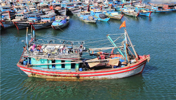 青岛2021开海捕鱼时间 2021年青岛什么时候开海捕鱼