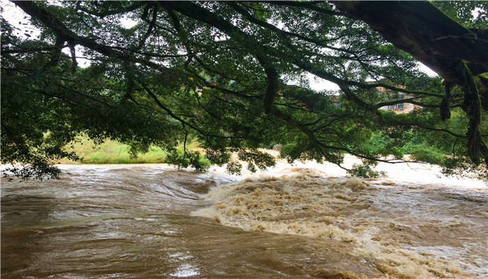 洪涝之后为什么会有疫情 洪涝过后为什么有瘟疫