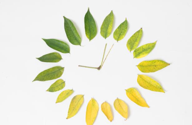 处暑的由来简介50字 处暑的来历是什么