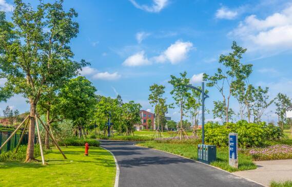 深圳龙华区好玩的公园推荐 深圳龙华区好玩的公园都有哪些