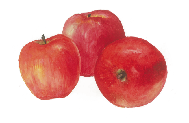 平安夜送苹果代表什么特殊含义 平安夜送红苹果的寓意