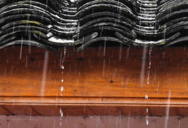 出伏下雨有什么说法 出伏下雨意味着什么