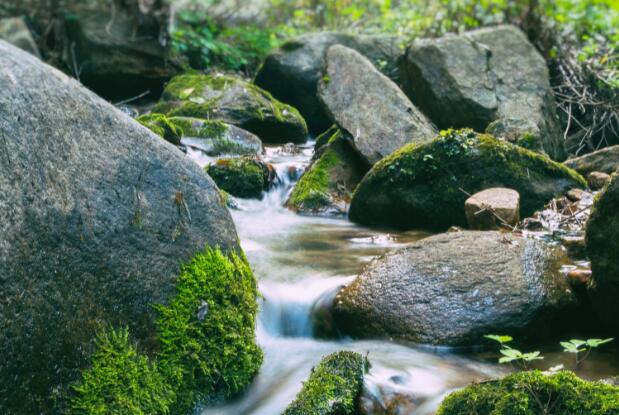 2021中元节可以放生吗 中元节能不能去河边放生