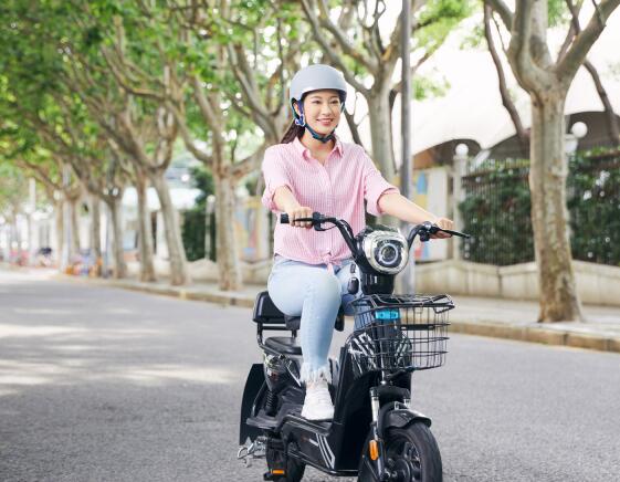 广州电动自行车通过什么途径办理车辆登记上牌 广州电动自行车上牌需要什么资料