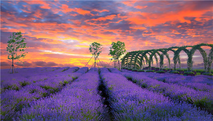 上海迪士尼年卡多少钱 上海迪士尼乐园年卡多少钱