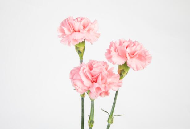 教师节礼物送什么实用 2021教师节最实用礼物排行榜