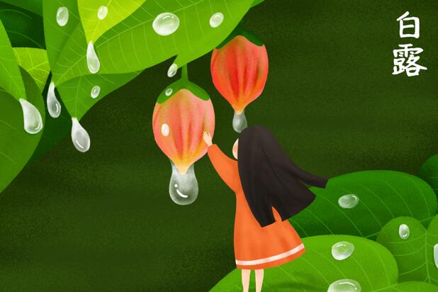 白露节气的由来和风俗 白露节气是怎么来的