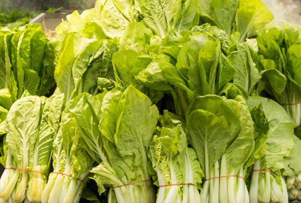 白露种植什么蔬菜最好 适合在白露时节种的8种菜