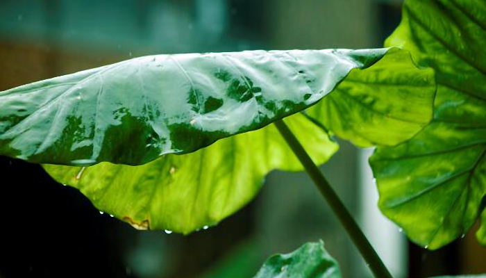 今明江西部分地区降雨频繁 谨防雷暴大风等强对流天气