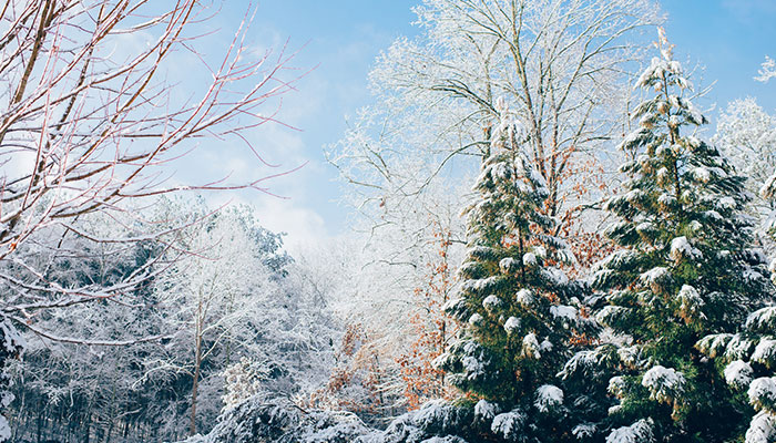 2022年正月气温回升吗 2022年几月气温回升