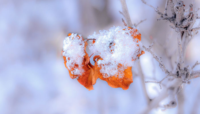 2022年正月气温回升吗 2022年几月气温回升