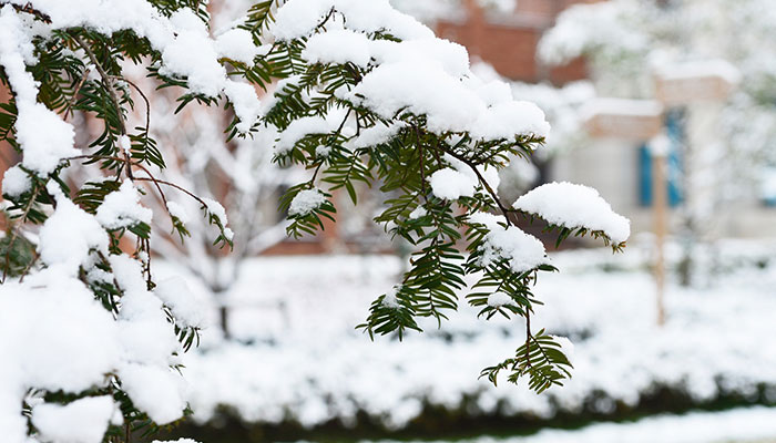 2021年过完冬至还要冷多久 冬至是不是最冷的时候