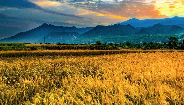 2021秋分是白天和晚上一样长吗 秋分的白天和黑夜等长吗