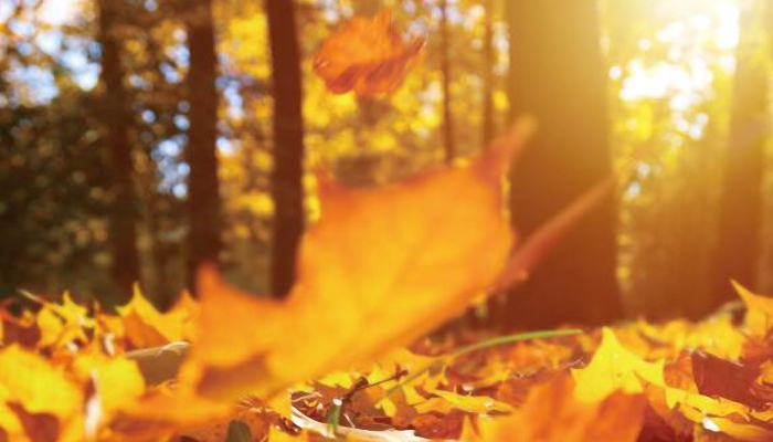 2021秋分是白天和晚上一样长吗 秋分的白天和黑夜等长吗