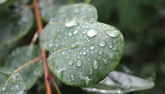 泸县今仍有降水但雨势不大 明震区或有大雨出没