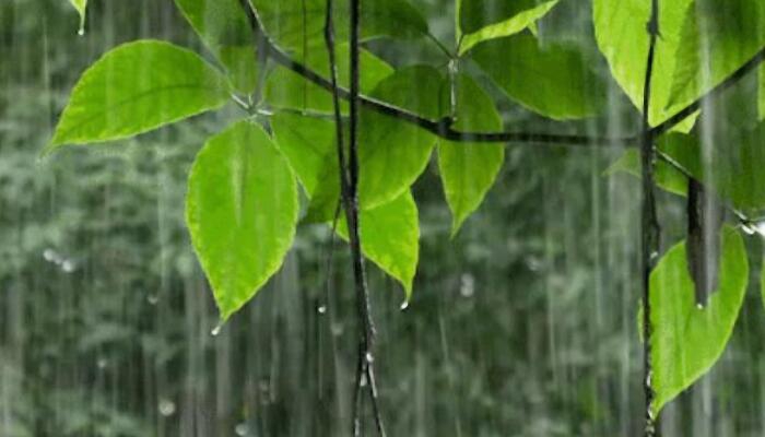 河南中秋假期第一天将有强降雨 局部大暴雨伴强对流天气