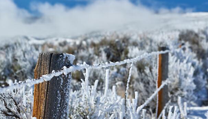 内蒙古未来三天大范围降水降水 明呼伦贝尔雨雪霜冻要上线了 