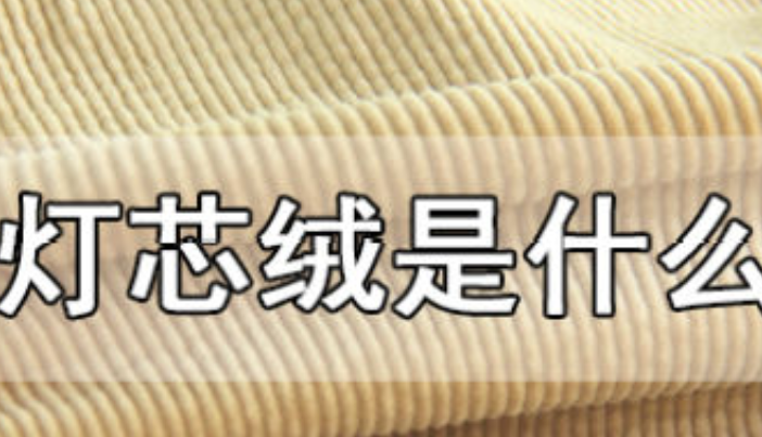 燈芯絨是什么 燈芯絨是哪種面料