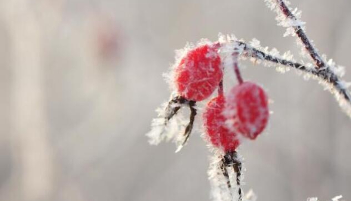 内蒙古未来三天大范围降水降水 明呼伦贝尔雨雪霜冻要上线了 