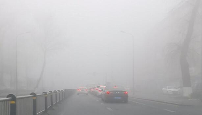 甘肃部分高速收费站因大雾进行交通管制 庆阳大雾显著出行小心