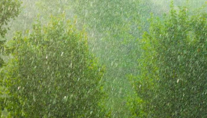 广州17号台风最新消息 “狮子山”影响广州今明降雨降温