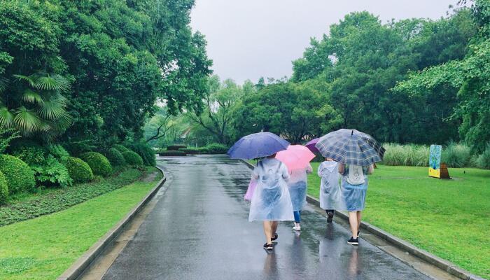 广州17号台风最新消息 “狮子山”影响广州今明降雨降温