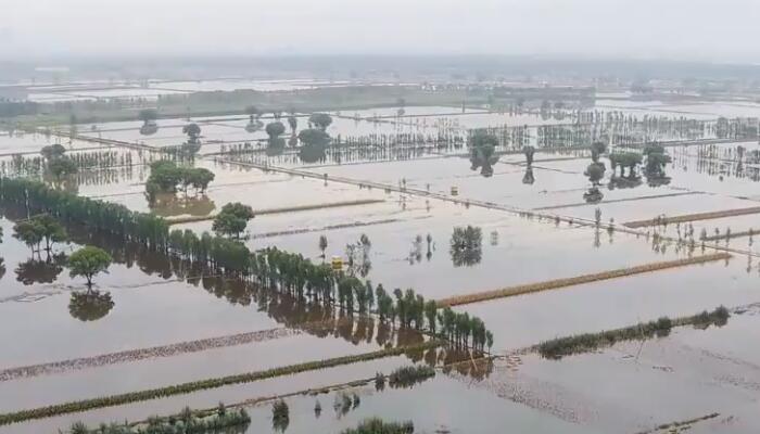 山西284.96万亩农作物受灾  1.7万余间房屋倒塌