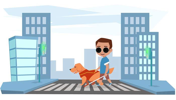 导盲犬证如何办理 怎么给狗办导盲犬证