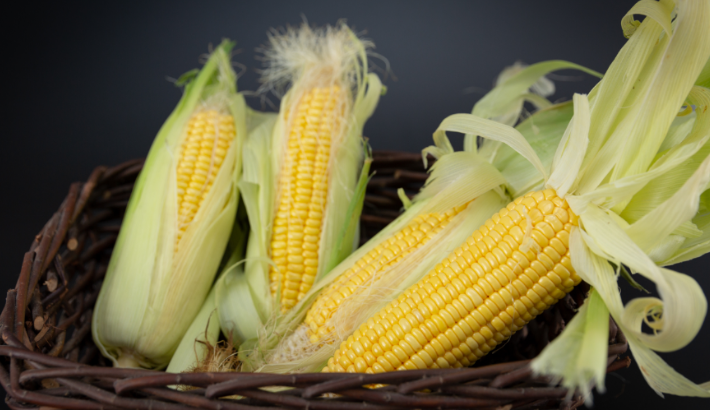 煮玉米的水能喝吗 煮玉米的水可以喝吗