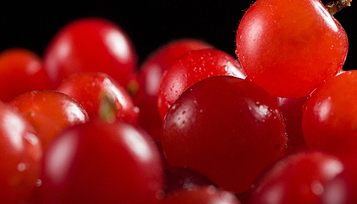 红叶果的果实能吃吗 红叶果的果实可以吃吗