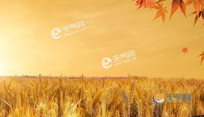 10月20-22日秋收秋种天气预报:河南江苏浙江等降雨影响秋播