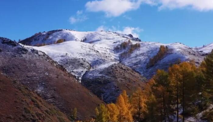 新疆阿勒泰斑斓秋色遇上纯白的雪 美不胜收