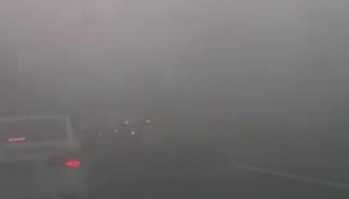 大雾影响陕西榆蓝高速榆绥段暂时封闭 这7个收费站入口注意了