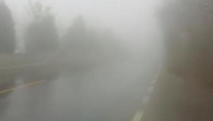 河北大雾侵袭多地高速站口临时关闭 大雾黄色预警生效中