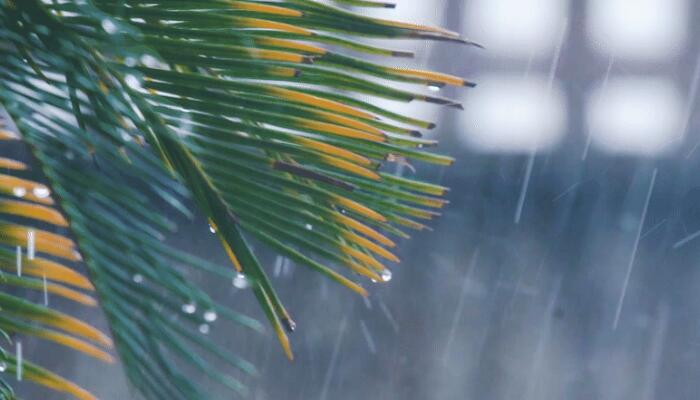 海南今部分地区有明显降雨 海口有小雨最高气温27度